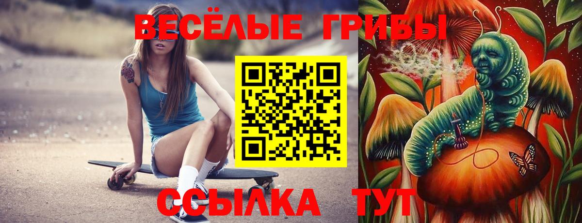Галлюциногенные грибы мицелий  Вход с VPN  Псилоцибиновые грибы GOLDEN TEACHER  Кириши 